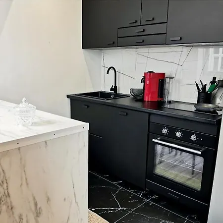 Golden - Eden - Superbe 2 Pieces De Standing En Hypercentre * Vichy